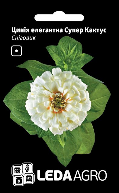 Циния Снеговик, Супер Кактус 0,3г. L Циния Снеговик, Супер Кактус 0,3г. L