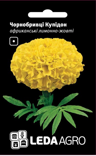 Бархатцы Купидон, африканские, лимонно-желтые 0,2г. L Бархатцы Купидон, африканские, лимонно-желтые 0,2г. L