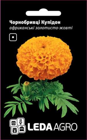 Бархатцы Купидон, африканские, золотисто-желтые 0,2г.  L