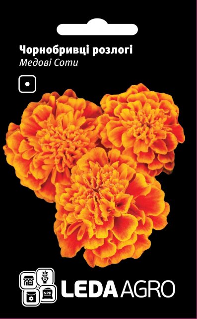 Бархатцы Медовые Соты 0,2г.  L Бархатцы Медовые Соты 0,2г.  L
