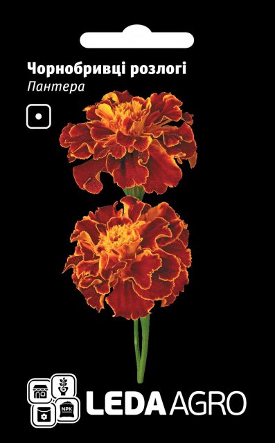 Бархатцы Пантера 0,25 г Л Бархатцы Пантера 0,25 г Л