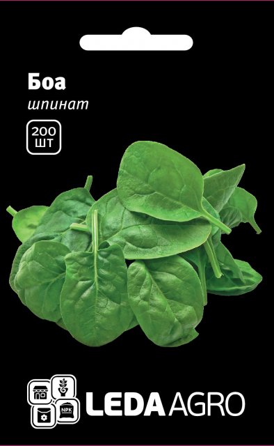 Шпинат Боа 200 семян. L Шпинат Боа 200 семян. L