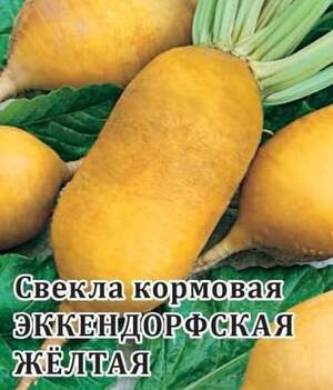 Свекла Экендорфская кормовая 100г WoS Свекла Экендорфская кормовая 100г WoS