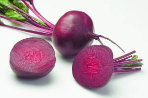 Свекла Зепо F1 (2,75-3,5) 25 000 семян. (Rijk Zwaan) Свекла Зепо F1 (2,75-3,5) 25 000 семян. (Rijk Zwaan)