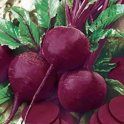 Свекла Ларка (2,75-3,5мм) 25 000 семян. (Rijk Zwaan) Свекла Ларка (2,75-3,5мм) 25 000 семян. (Rijk Zwaan)