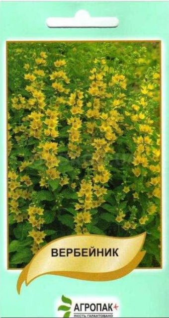 Вербейник 0,1г А Вербейник 0,1г А