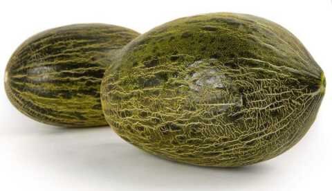 Дыня Мессура F1 1000 семян. (Rijk Zwaan) Дыня Мессура F1 1000 семян. (Rijk Zwaan)