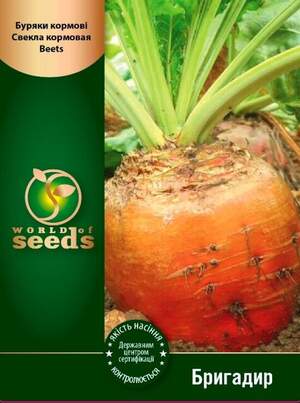 Свекла Бригадир кормовая 100г WoS Свекла Бригадир кормовая 100г WoS