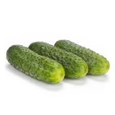 Огурец Шакти F1 250 семян. (Rijk Zwaan) Огурец Шакти F1 250 семян. (Rijk Zwaan)