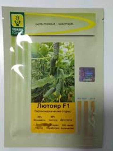 Огурец Лютояр F1 500 семян. (Yuksel Seeds) Огурец Лютояр F1 500 семян. (Yuksel Seeds)