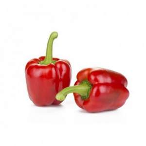 Перец Сондела F1 1000 семян. (Rijk Zwaan)