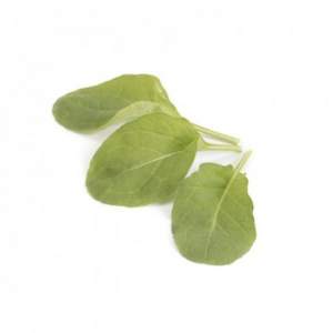 Рукола Спаркл 1 000 000 семян. (Rijk Zwaan) Рукола Спаркл 1 000 000 семян. (Rijk Zwaan)