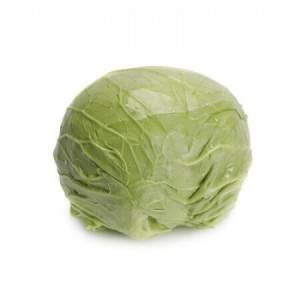 Капуста Зарисима (калибр) F1 2500 семян. (Rijk Zwaan) Капуста Зарисима (калибр) F1 2500 семян. (Rijk Zwaan)