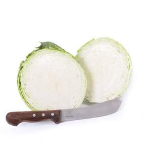 Капуста Топма F1 (калибр) 1000 семян. (Rijk Zwa Капуста Топма F1 (калибр) 1000 семян. (Rijk Zwa