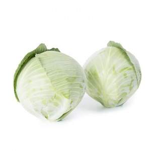 Капуста Аксиома (калибр) F1 2500 семян. (Rijk Zwa