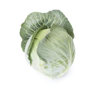 Капуста Аксиома (калибр) F1 1000 семян. (Rijk Zwa