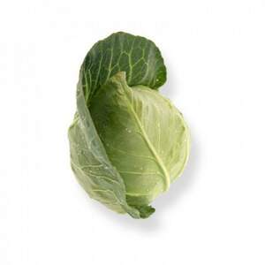 Капуста Сонсма F1 1000 семян. (Rijk Zwaan)