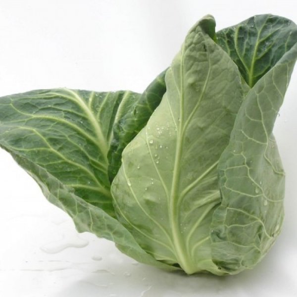 Капуста Сонсма F1 1000 семян. (Rijk Zwaan) Капуста Сонсма F1 1000 семян. (Rijk Zwaan)