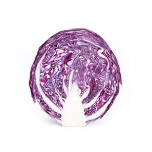 Капуста Редма F1 1000 семян. (Rijk Zwaan)