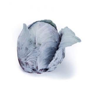 Капуста Редма F1 1000 семян. (Rijk Zwaan)