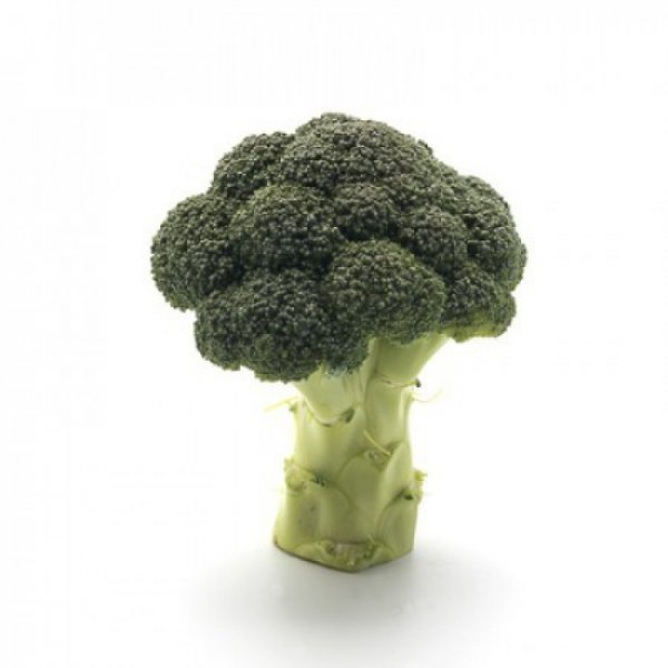 Капуста брокколи Орантес F1 2500 семян. (Rijk Zwaan) Капуста брокколи Орантес F1 2500 семян. (Rijk Zwaan)