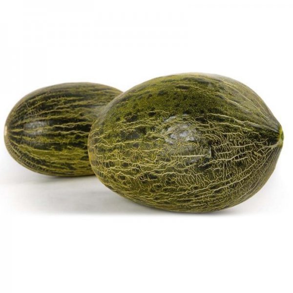 Дыня Мессура F1 100 семян. (Rijk Zwaan) Дыня Мессура F1 100 семян. (Rijk Zwaan)