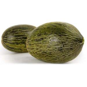 Дыня Мессура F1 100  семян. (Rijk Zwaan)