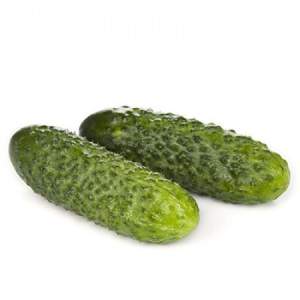 Огурец Лист F1 1000 семян. (Rijk Zwaan) Огурец Лист F1 1000 семян. (Rijk Zwaan)