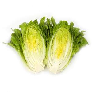 Салат Октавиус 1000 семян. (Rijk Zwaan)