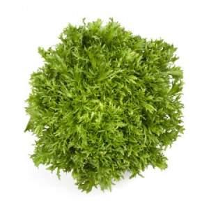 Салат единый Корби (3-3,5) 1000 семян. (Rijk Zwaan) Салат единый Корби (3-3,5) 1000 семян. (Rijk Zwaan)