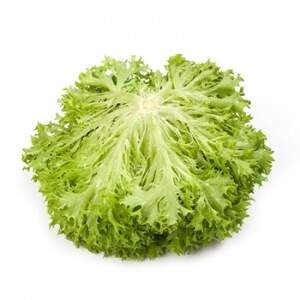 Салат Экзект 5000 семян. (Rijk Zwaan) Салат Экзект 5000 семян. (Rijk Zwaan)