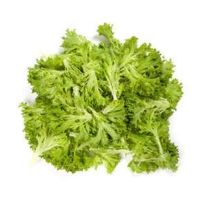 Салат Экзект 5000 семян. (Rijk Zwaan) Салат Экзект 5000 семян. (Rijk Zwaan)