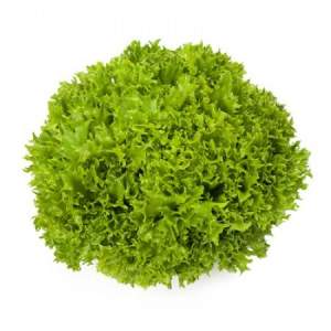 Салат Экзект 1000 семян. (Rijk Zwaan) Салат Экзект 1000 семян. (Rijk Zwaan)