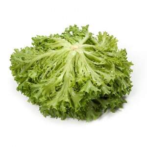 Салат Экспедишн 1000 семян. (Rijk Zwaan) Салат Экспедишн 1000 семян. (Rijk Zwaan)