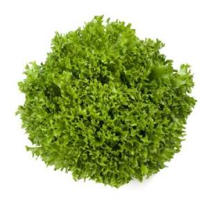 Салат Экспедишн 1000 семян. (Rijk Zwaan) Салат Экспедишн 1000 семян. (Rijk Zwaan)