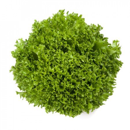 Салат Экспедишн 5000 семян. (Rijk Zwaan) Салат Экспедишн 5000 семян. (Rijk Zwaan)