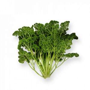 Петрушка Рина 50 гр. (Rijk Zwaan) Петрушка Рина 50 гр. (Rijk Zwaan)