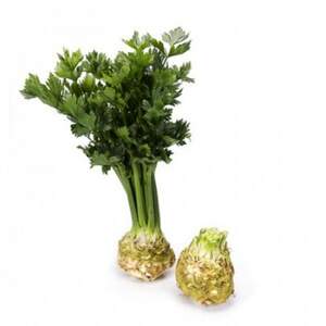 Сельдерей Президент 10 000 семян. (Rijk Zwaan)