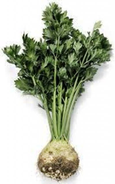 Сельдерей Мерга 10 000 семян. (Rijk Zwaan) Сельдерей Мерга 10 000 семян. (Rijk Zwaan)