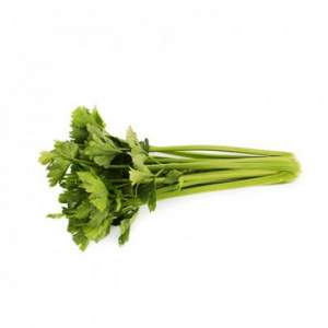 Сельдерей Келвин 10 000 семян. (Rijk Zwaan) Сельдерей Келвин 10 000 семян. (Rijk Zwaan)