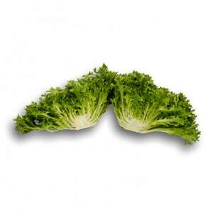 Салат Эксперттайз 5000 семян. (Rijk Zwaan) Салат Эксперттайз 5000 семян. (Rijk Zwaan)