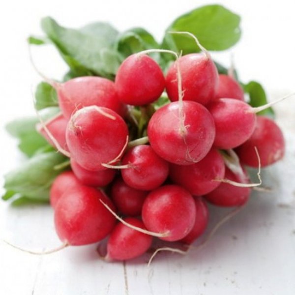 Редис Рондил 50 гр. (Rijk Zwaan) Редис Рондил 50 гр. (Rijk Zwaan)