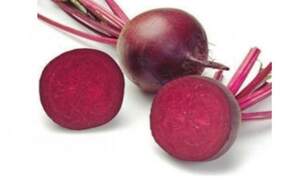 Свекла Акела F1 (PR калибр. 3,50 - 4,25) 500 000 семян. (Rijk Zwaan)