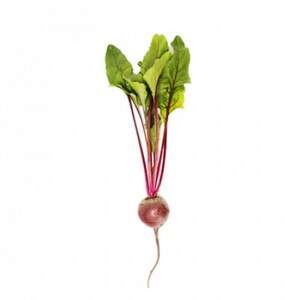 Свекла Бети F1 (3-3,5мм) 100 000 семян. (Rijk Zwaan) Свекла Бети F1 (3-3,5мм) 100 000 семян. (Rijk Zwaan)