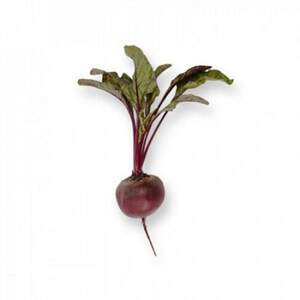 Свекла Ларка 100 000 семян. (Rijk Zwaan) Свекла Ларка 100 000 семян. (Rijk Zwaan)