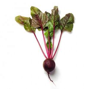 Свекла Либеро (PR калибр. 3,50 - 4,25) 25 000 семян. (Rijk Zwaan) Свекла Либеро (PR калибр. 3,50 - 4,25) 25 000 семян. (Rijk Zwaan)