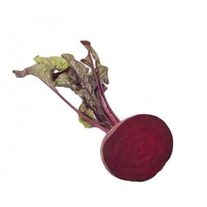 Свекла Зепо F1 (3.50-4,25) 500 000 семян. (Rijk Zwaan) Свекла Зепо F1 (3.50-4,25) 500 000 семян. (Rijk Zwaan)