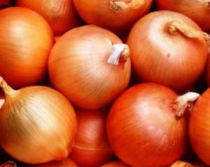 Лук Франциско Prime 250 000 семян. (Hazera) Лук Франциско Prime 250 000 семян. (Hazera)