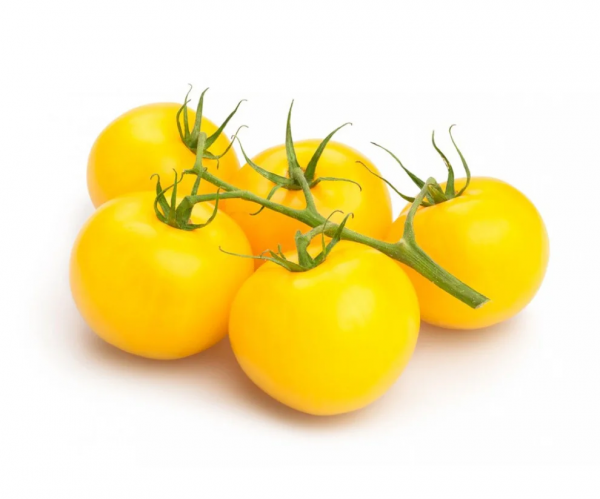 Помидоры Саммер Сан 250 семян. (Hazera) Помидоры Саммер Сан 250 семян. (Hazera)