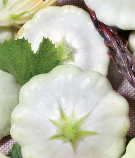 Патиссон Поло F1 3г WoS Патиссон Поло F1 3г WoS